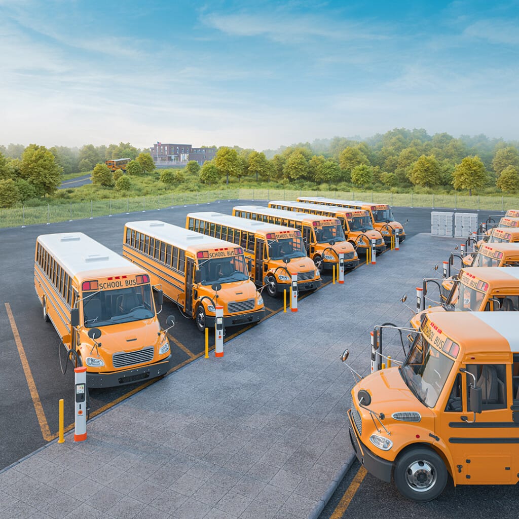 A fleet of yellow school buses parked neatly in rows within a spacious parking lot, surrounded by lush green grass and trees under a clear blue sky.